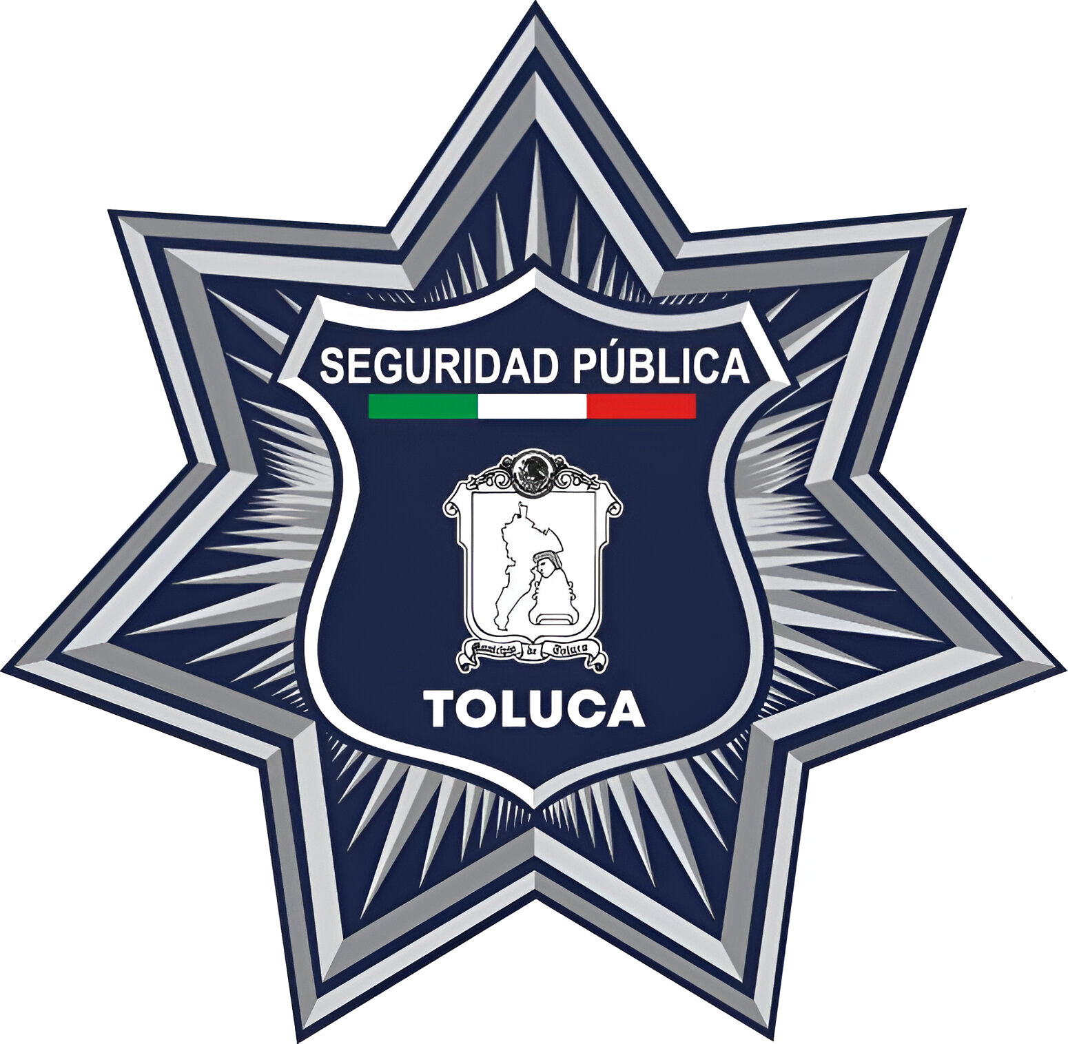 Seguridad Pública